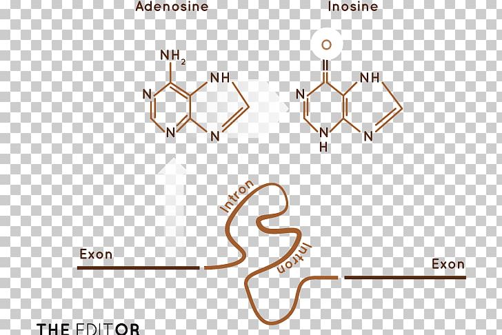 Line Technology Angle PNG, Clipart, Angle, Area, Circle, Diagram, Genetically Modified Organism Free PNG Download