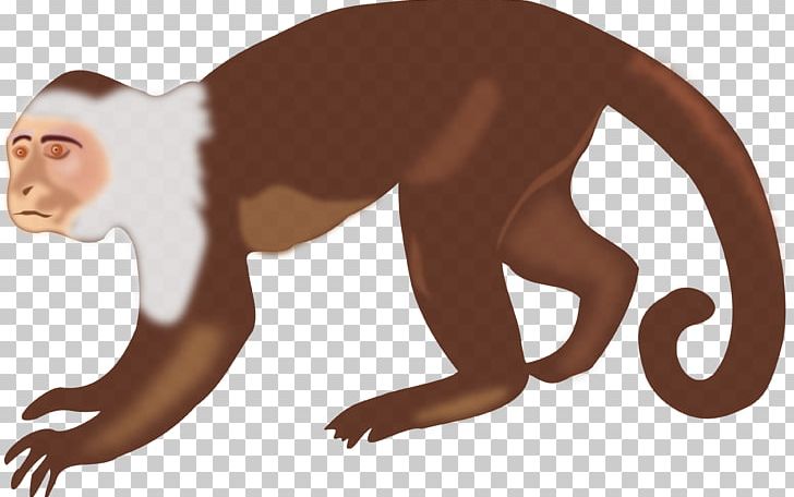The Evil Monkey PNG, Clipart, Animals, Ape, Baby Monkey, Big Cats, Carnivoran Free PNG Download