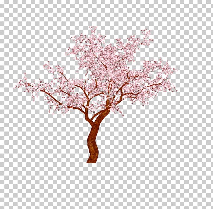Cherry Blossom Bonsai Chinese Sweet Plum Tree PNG, Clipart, Blossom, Bonsai, Branch, Cherry Blossom, Flower Free PNG Download