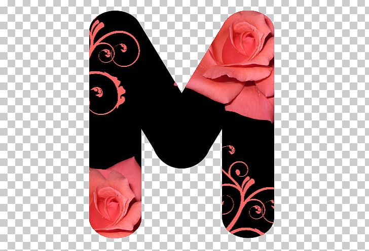 Garden Roses Pink M Mobile Phone Accessories Shoe PNG, Clipart, Caminhao, Flower, Flowering Plant, Garden, Garden Roses Free PNG Download