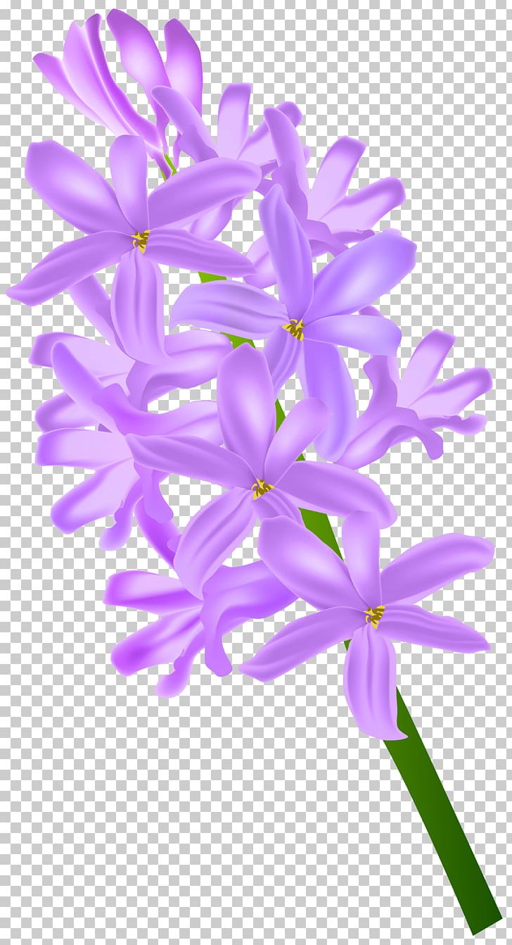 Hyacinth PNG, Clipart, Blue, Clip Art, Clipart, Flora, Floral Design Free PNG Download
