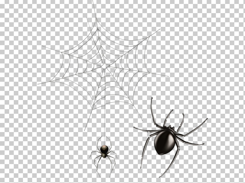 Spider Web PNG, Clipart, Black And White, Insects, Leaf, Line, Paint Free PNG Download