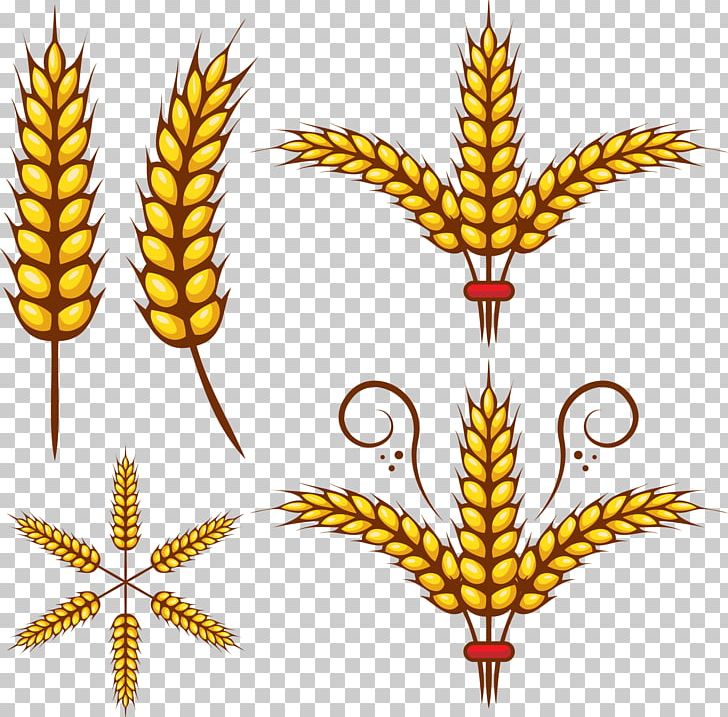 Adobe Illustrator Wheat PNG, Clipart, Brown Rice, Commodity, Encapsulated Postscript, Flowering Plant, Food Free PNG Download