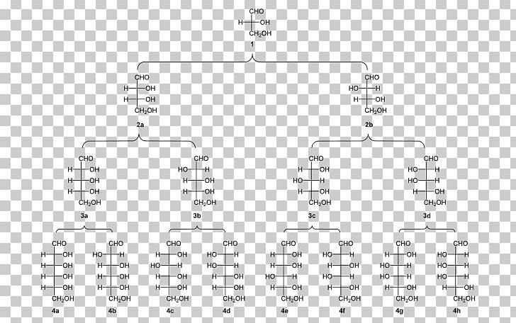 Kiliani–Fischer Synthesis Lyxose Threose Aldonic Acid Fischer Projection PNG, Clipart, Aldonic Acid, Aldose, Angle, Arabinose, Area Free PNG Download