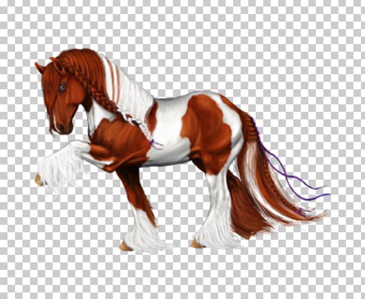 Mane Shire Horse Howrse Stallion Marwari Horse PNG, Clipart, Anim, Bridle, Clydesdale Horse, Figurine, Halter Free PNG Download