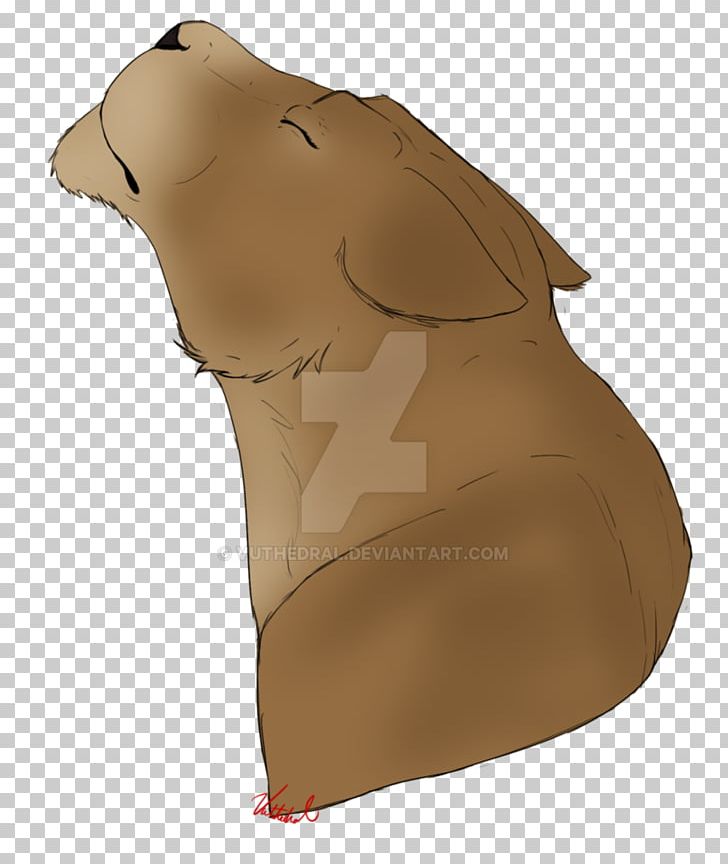 Neck Snout PNG, Clipart, Bear, Carnivoran, Mammal, Neck, Snout Free PNG Download