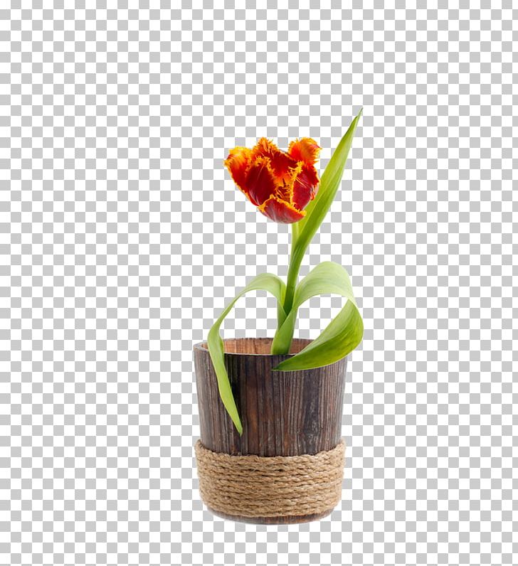 Tulip Flowerpot Wood PNG, Clipart, 2017, Bathtub, Container, Crock, Download Free PNG Download