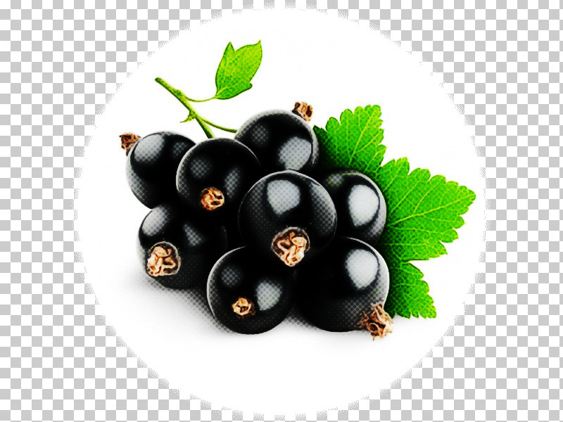 Berry Fruit Plant Food Superfood PNG, Clipart, Berry, Blackberry, Chokeberry, Currant, Food Free PNG Download