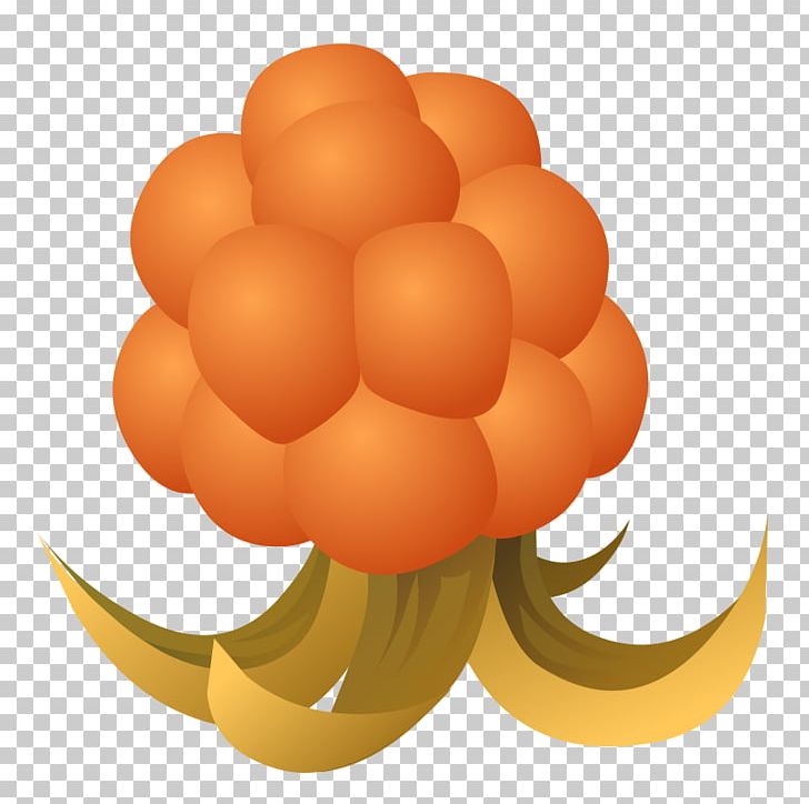 Cloudberry Food PNG, Clipart, Apple, Berry, Circle, Cloudberry, Computer Icons Free PNG Download