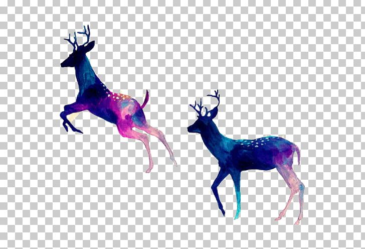 White-tailed Deer Reindeer Desktop Rudolph PNG, Clipart, Animals, Antelope, Antler, Art, Computer Icons Free PNG Download