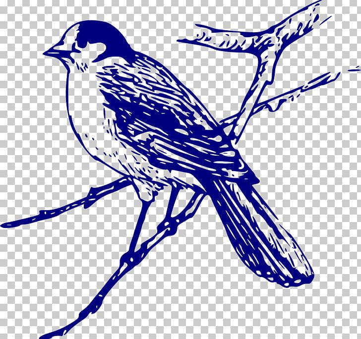 Bird PNG, Clipart, Animals, Art, Artwork, Beak, Bird Free PNG Download