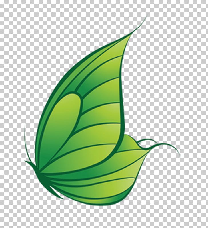 Butterfly Green Leaf PNG, Clipart, Art, Background Green, Butterflies And Moths, Encapsulated Postscript, Flower Free PNG Download