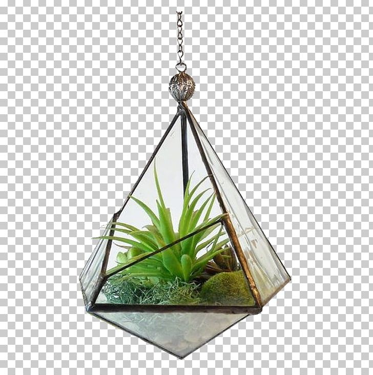 Terrarium Stained Glass Geometry Plant PNG, Clipart, Alo, Aloe Vera, Beaker, Flower, Flower Pot Free PNG Download