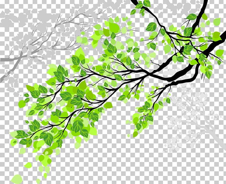 Window Film Tree Wall Decal PNG, Clipart, Branch, Branches, Decal, Decorative Patterns, Floating Leaves Free PNG Download
