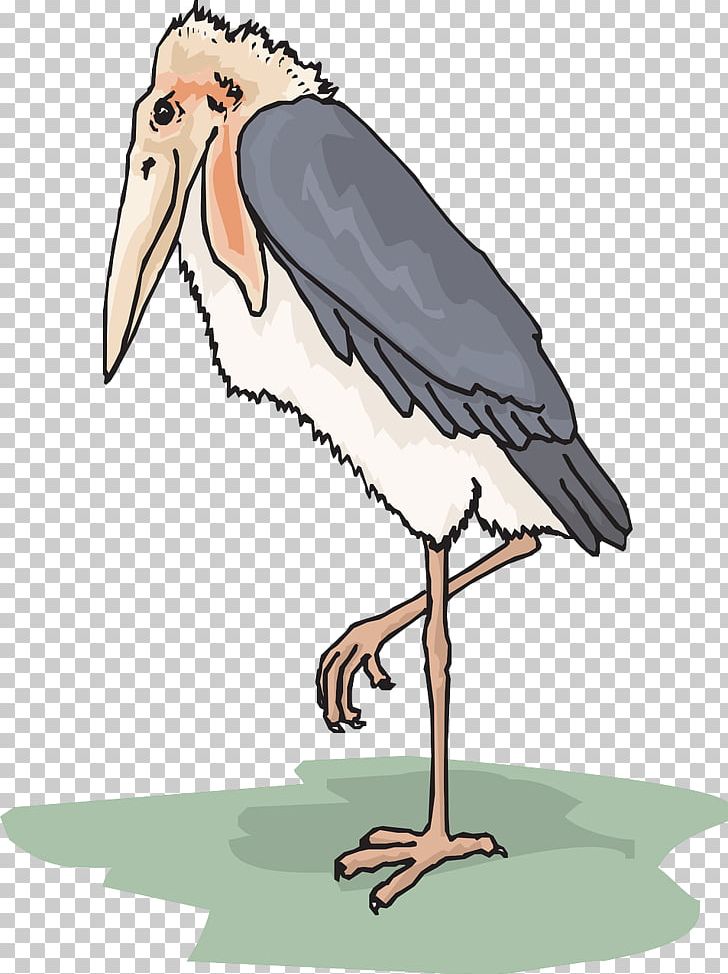 Marabou Stork Bird PNG, Clipart, Animals, Animation, Beak, Bird, Ciconiiformes Free PNG Download