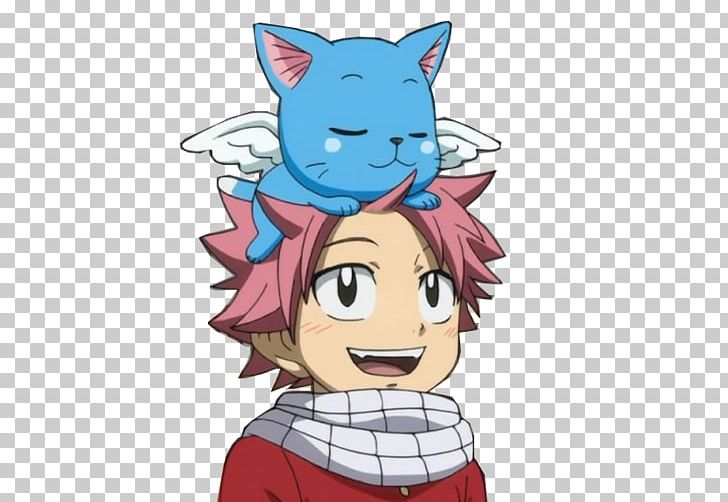 Natsu Dragneel Happy Juvia Lockser Fairy Tail Anime PNG, Clipart, Boy, Cartoon, Cat, Cat Like Mammal, Chibi Free PNG Download
