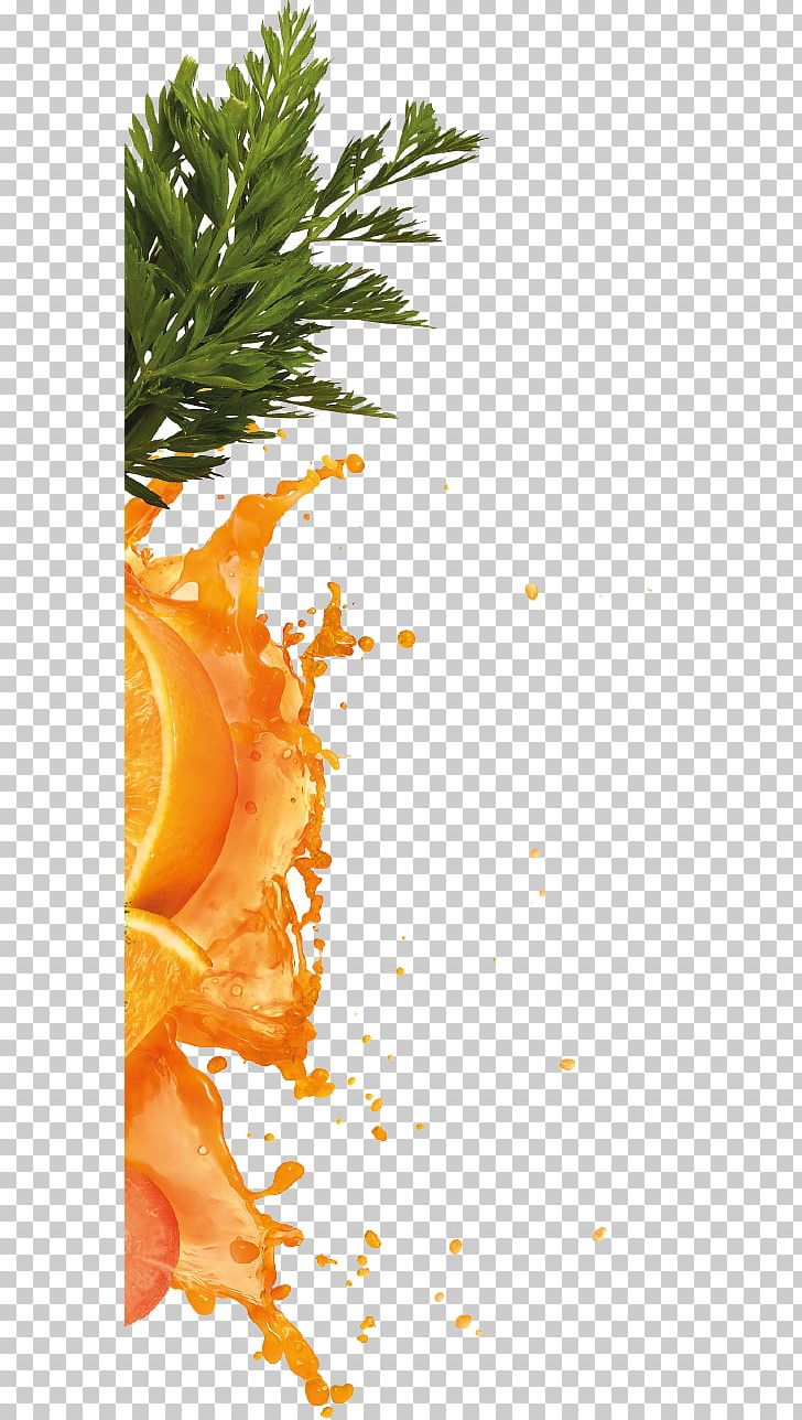 Orange Juice Carrot Juice PNG, Clipart, Berry, Branch, Carrot, Carrot Juice, Computer Wallpaper Free PNG Download