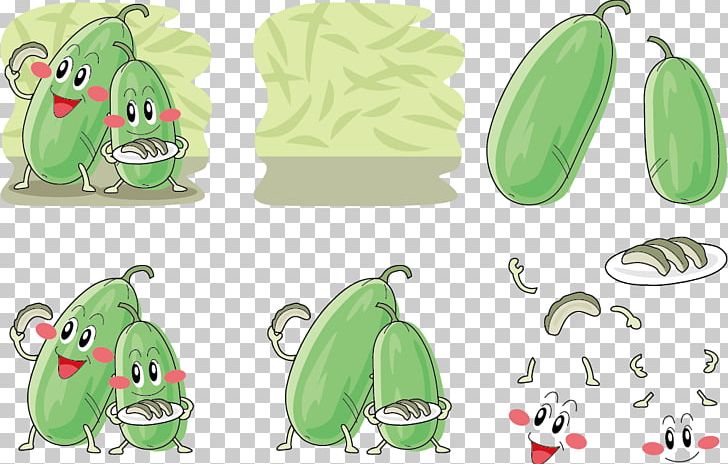 Wax Gourd Vegetable Illustration PNG, Clipart, Amphibian, Area, Baby Eating, Broccoli, Carrot Free PNG Download