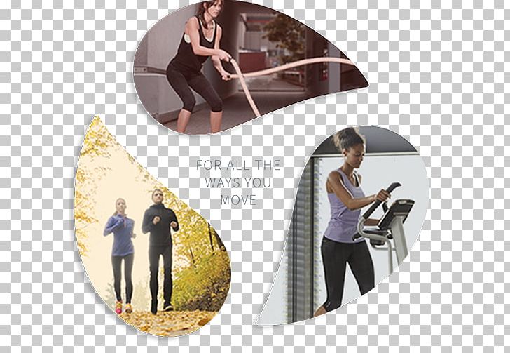 Fitness Resource / Johnson Fitness & Wellness Store Elliptical Trainers Treadmill Exercise Physical Fitness PNG, Clipart, Atlanta, Brand, Elliptical Trainers, Exercise, Exercise Equipment Free PNG Download