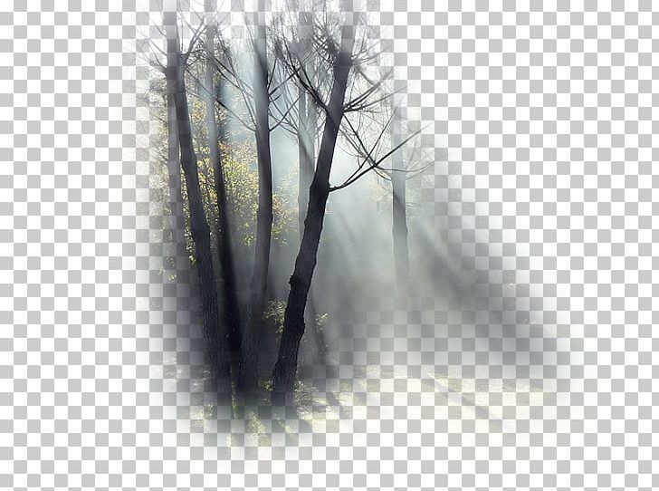 Fog Desktop Mist White Trident PNG, Clipart, Black And White, Branch, Branching, Computer, Computer Wallpaper Free PNG Download