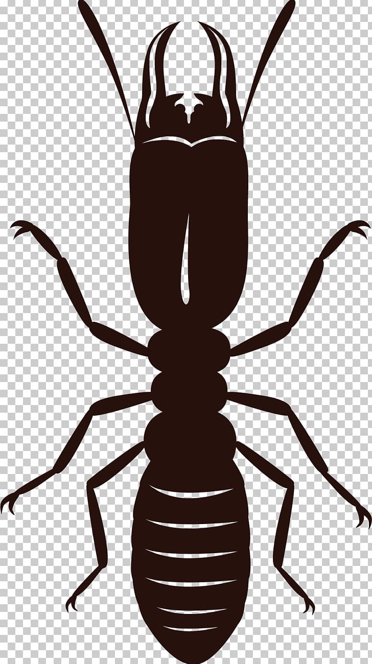 Insect Eastern Subterranean Termite Cockroach PNG, Clipart, Animals, Arthropod, Artwork, Black And White, Cockroach Free PNG Download