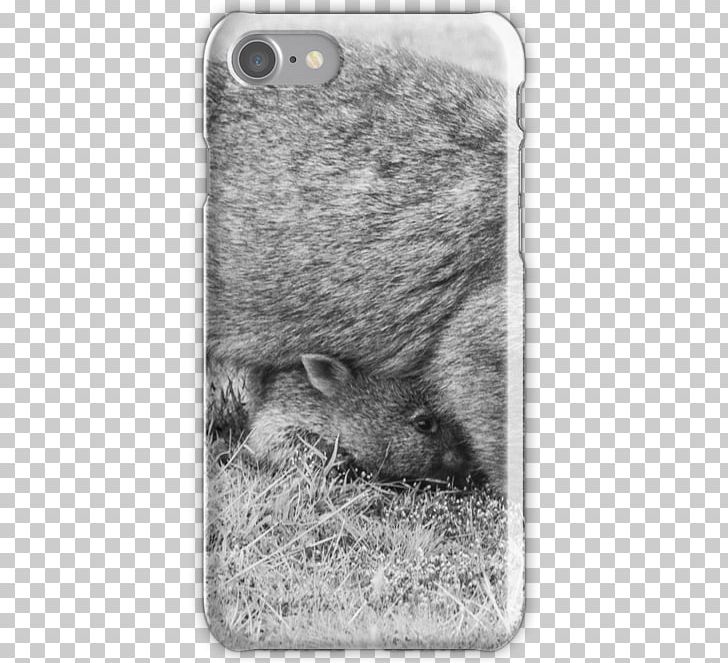 Pig Computer Mouse Snout Marsupial White PNG, Clipart, Animals, Black And White, Computer Mouse, Fauna, Mammal Free PNG Download