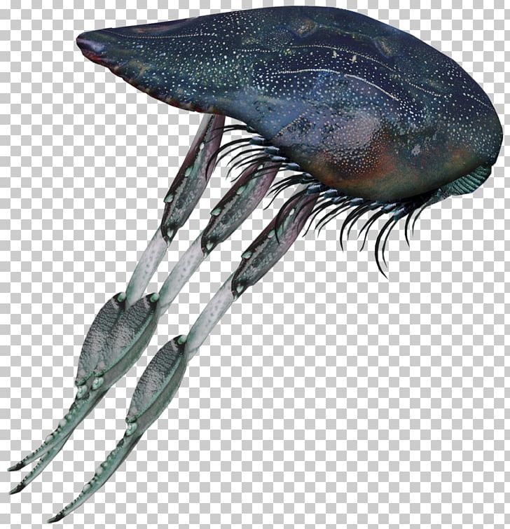 Moloch Insect Monster Marine Biology PNG, Clipart, Biology, Creatures, Decapoda, Fantasy, Fish Free PNG Download