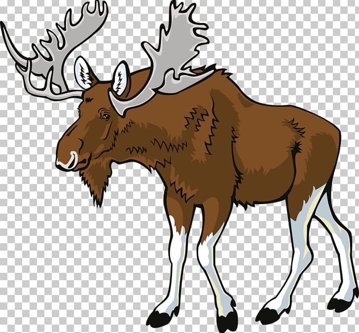 Deer Elk Moose PNG, Clipart, Animal, Antler, Cartoon, Cattle Like Mammal, Color Free PNG Download