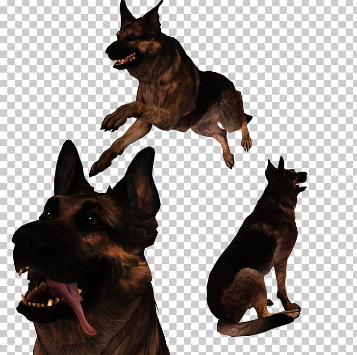 Fallout 4 German Shepherd Dogmeat Kunming Wolfdog PNG, Clipart, Australian Kelpie, Carnivoran, Computer Software, Dog, Dog Breed Free PNG Download