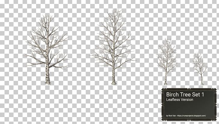 Pine Family Tree Birch Winter Snow PNG, Clipart, Birch, Black And White, Branch, Conifer, Grass Free PNG Download
