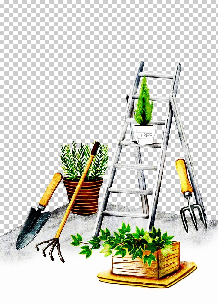 Plant Illustration PNG, Clipart, Cactaceae, Cartoon, Download, Drawing, Grass Free PNG Download