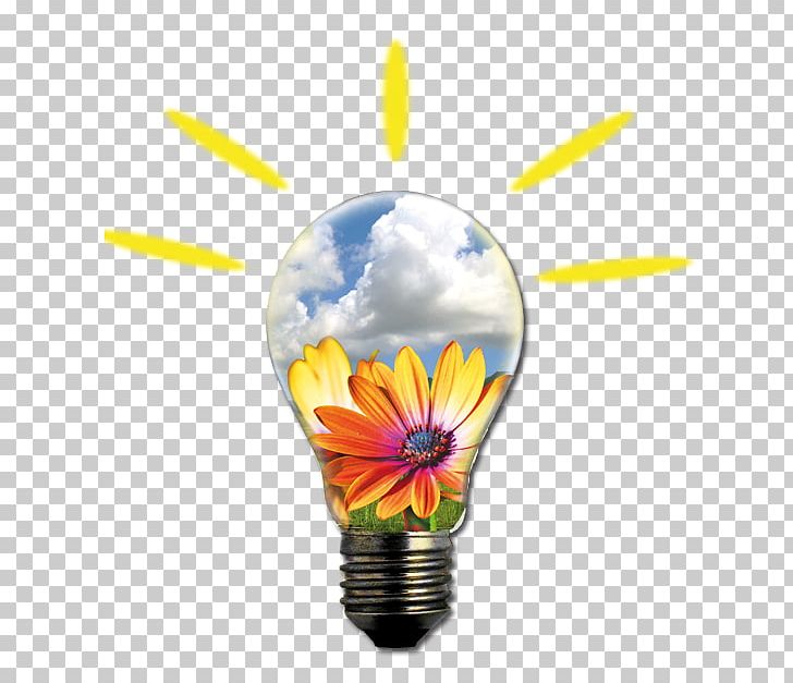 Alternative Energy Lighting Flower Gal Partenio Consorzio PNG, Clipart, Alternative Energy, Energy, Flower, Lighting, Nature Free PNG Download