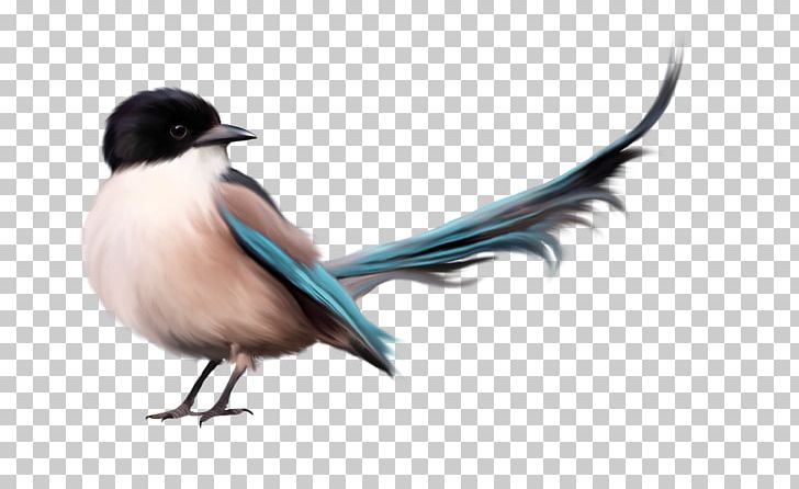 Bird Parrot PNG, Clipart, Animals, Beak, Bird, Bird Flight, Computer Icons Free PNG Download