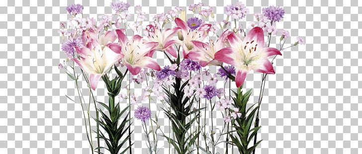 Floral Design Cut Flowers Flower Bouquet Lilium PNG, Clipart, Cut Flowers, Flora, Floral Design, Floristry, Flower Free PNG Download