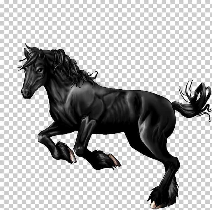 Mustang Stallion Pony Halter English Riding PNG, Clipart, Black And White, English Riding, Equestrian, Fictional Character, Halter Free PNG Download