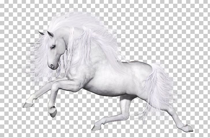 Unicorn Horse Pegasus Mane PNG, Clipart, At Resimleri, Black, Digital Image, Drawing, Fantasy Free PNG Download