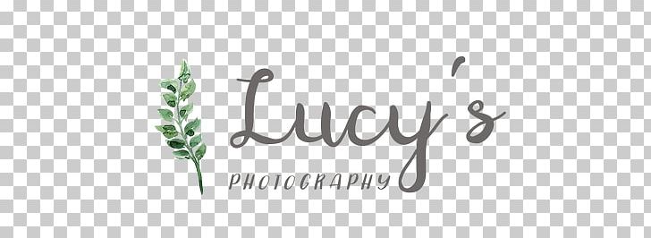 Lucy's Photography Photographer Printing Canvas Print PNG, Clipart,  Free PNG Download
