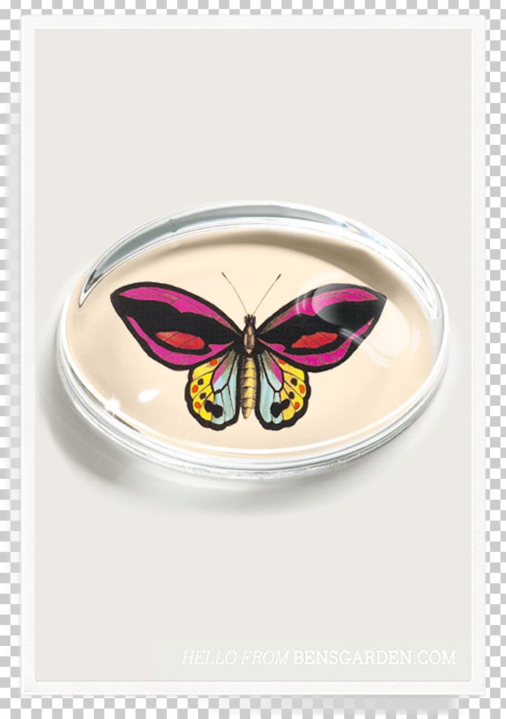 Paperweight Ben's Garden These Are Great Days Crystal PNG, Clipart, Art, Bens Garden, Butterfly, Butterfly Aestheticism, Collage Free PNG Download