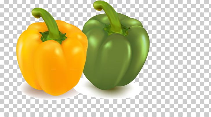 Vegetable Bell Pepper Chili Pepper Eggplant PNG, Clipart, Bell Pepper, Chili Pepper, Chili Peppers, Encapsulated Postscript, Food Free PNG Download