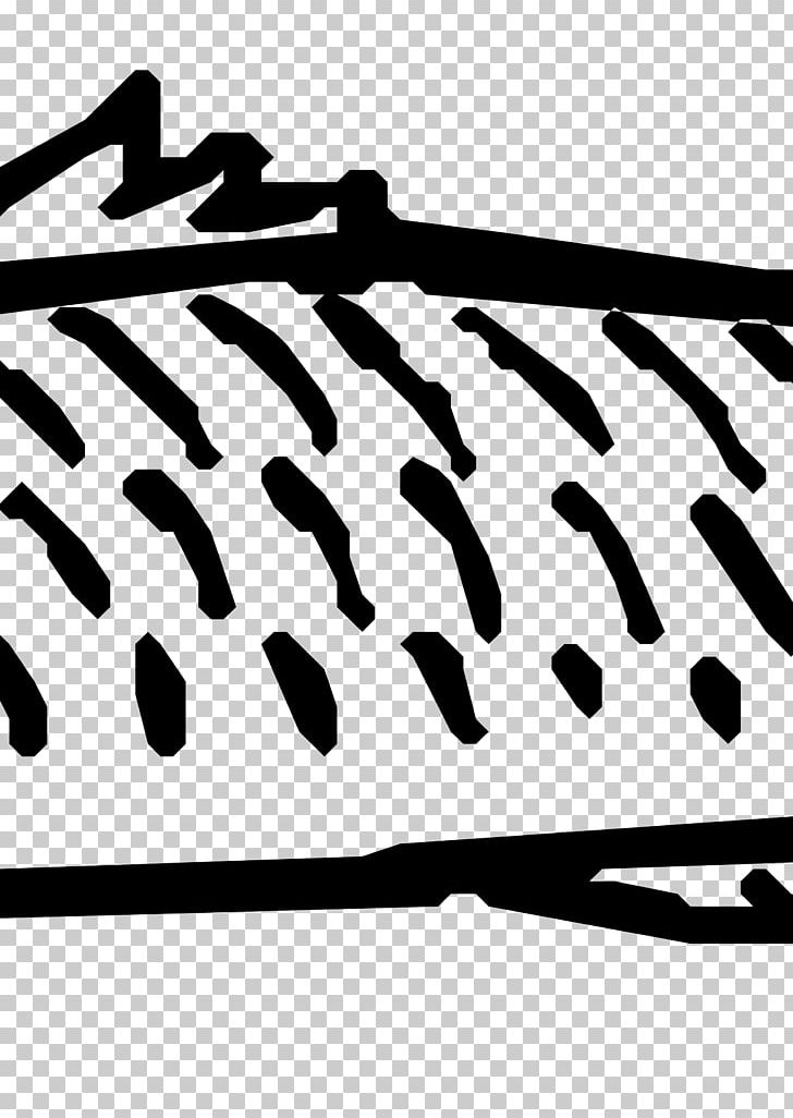Fish Scale PNG, Clipart, Animals, Aquatic Animal, Black, Black And White, Canned Fish Free PNG Download
