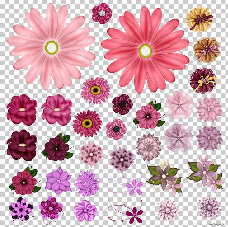 Flower Computer Icons PNG, Clipart, Annual Plant, Chrysanths, Color, Computer Icons, Cut Free PNG Download