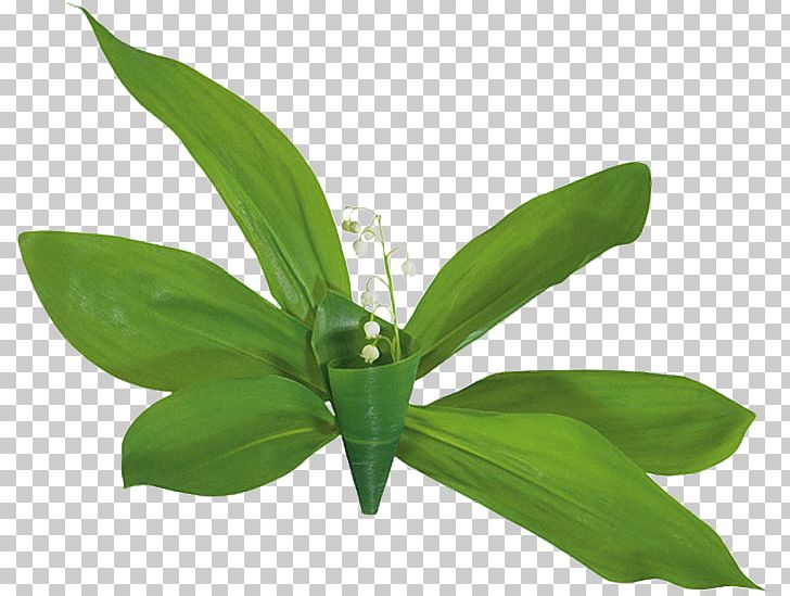 GIF Portable Network Graphics Lily Of The Valley JPEG PNG, Clipart, Animation, Computer Icons, Email, Flower, Flower Bouquet Free PNG Download