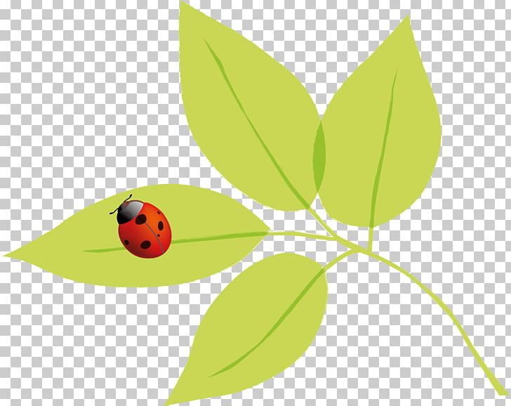 Insect Autumn Spring Summer PNG, Clipart, Advertising, Animal, Animals, Autumn, Blog Free PNG Download