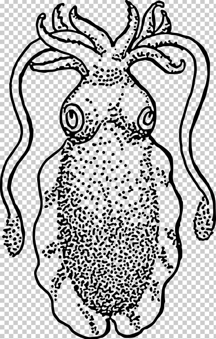 Squid Common Cuttlefish Coloring Book PNG, Clipart, Area, Art, Black, Black And White, Carnivoran Free PNG Download