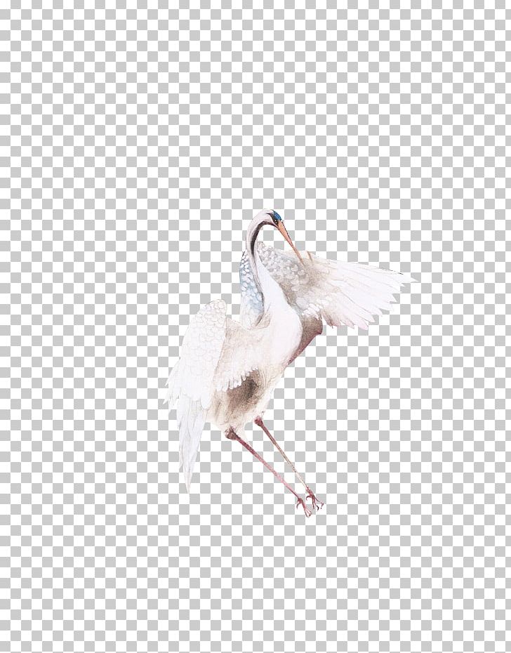 Cygnini Crane Bird Icon PNG, Clipart, Animals, Beak, Bird, Black Swan, Cartoon Swan Free PNG Download