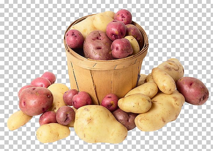 Fingerling Potato Yukon Gold Potato Competition Superfood PNG, Clipart, Begrip, Competition, Definition, Fingerling Potato, Food Free PNG Download