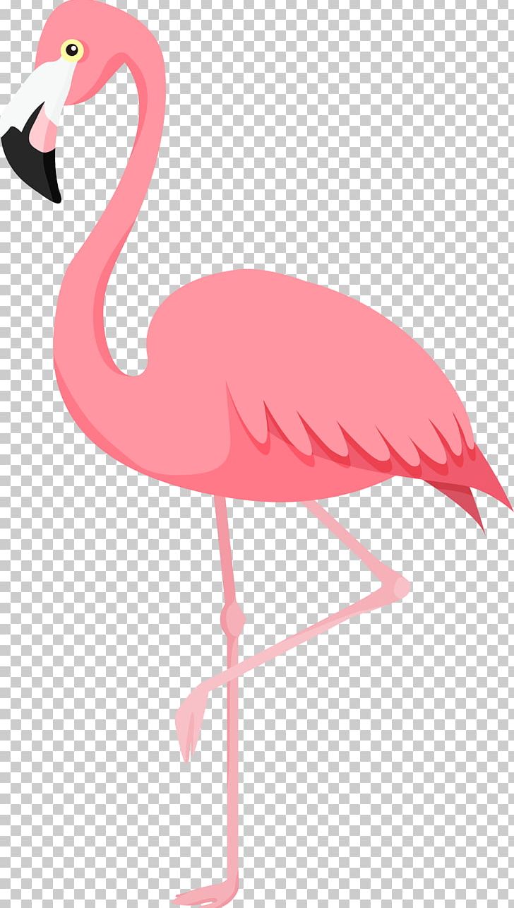 Flamingos Bird PNG, Clipart, Animals, Beak, Bird, Bird Bird, Blog Free PNG Download