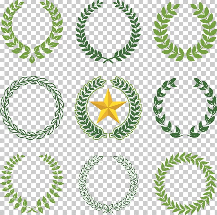 Laurel Wreath Olive Wreath Bay Laurel PNG, Clipart, Body Jewelry, Branch, Christmas Decoration, Circle, Creative Background Free PNG Download