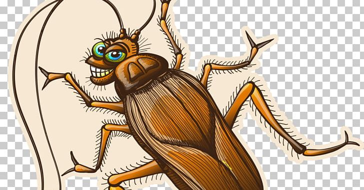Cockroach Drawing PNG, Clipart, Animals, Art, Cartoon, Cockroach, Cockroach Racing Free PNG Download
