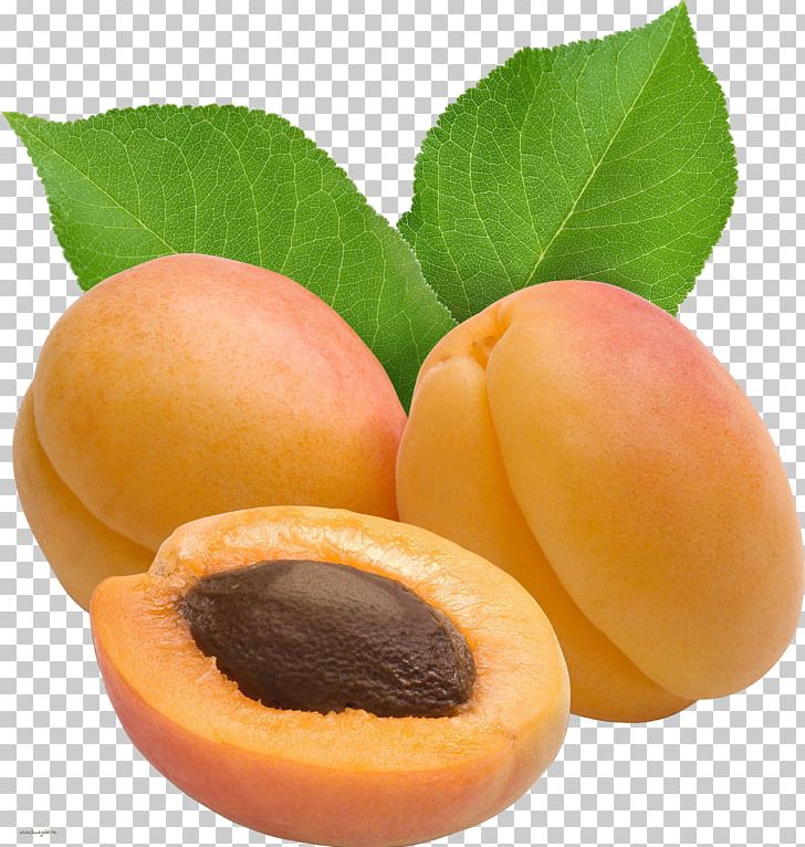 Dried Apricot PNG, Clipart, Apricot, Computer Icons, Diet Food, Dried Apricot, Dried Fruit Free PNG Download